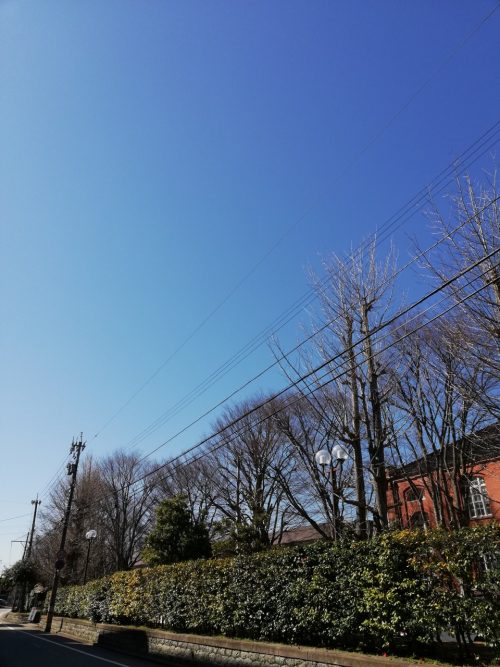三寒四温の金沢